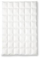 OBB BLACK FOREST Kassettendecke LARA medium 