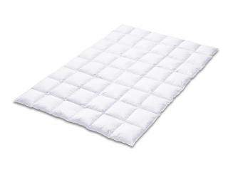 KAUFFMANN EIDERDAUNE Exclusive medium 