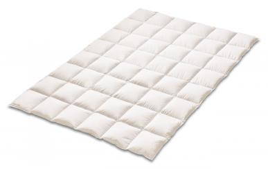 KAUFFMANN Elegance 700 medium 