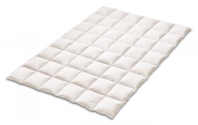 KAUFFMANN Österreichische Weidegans medium 