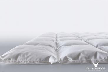 FALKENRECK Gold Edition Rubin Medium 