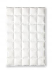 OBB BLACK FOREST Kassettendecke AVA warm 