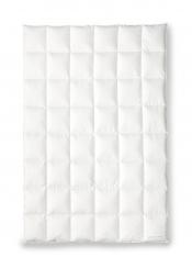 OBB BLACK FOREST Kassettendecke BIRTA medium 