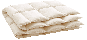 morepic-1