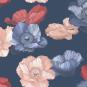 morepic-5